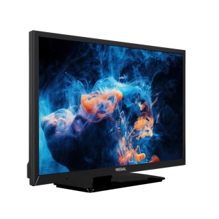 Regal 24R604HYR HD Ready (HD) TV