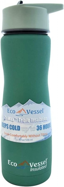 EcoVessel Aqua Vessel Insulated Termos (500 ml)