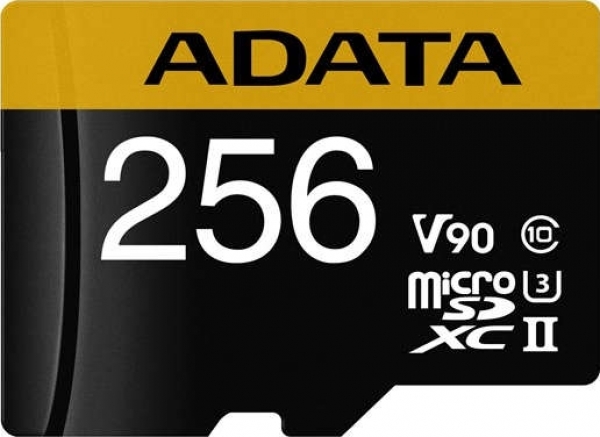 Adata Premier ONE microSD (256 GB)