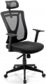 Goldsit Parox 000 PA resim