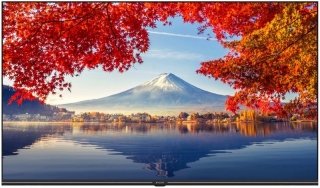 Arçelik A43K 692G Hotel Full HD (FHD) TV