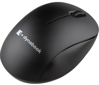 Dynabook T120 Mouse