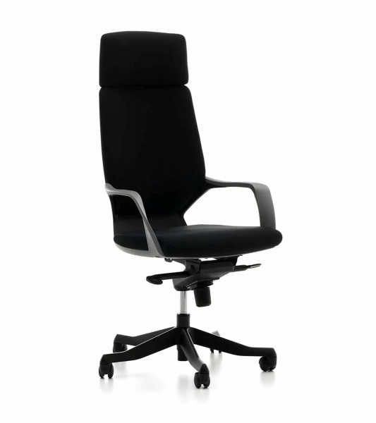 Bürotime Swan Başlıklı Yönetici Koltuğu