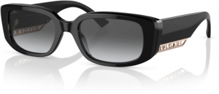 Bvlgari 0BV8259-501-T3-53