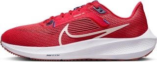 Nike Pegasus 40 Erkek Spor Ayakkabı