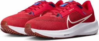 Nike Pegasus 40 Erkek Spor Ayakkabı