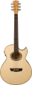 Washburn Festival EA20 resim