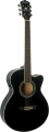 Washburn Festival EA12 resim