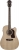 Washburn Heritage D10SCE Elektro Akustik Gitar