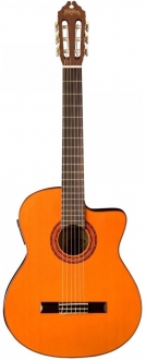 Washburn C5CE Elektro Klasik Gitar