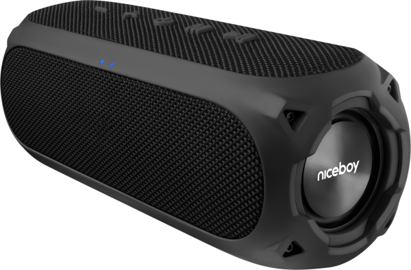 Niceboy Raze 3 Radion Bluetooth Hoparlör