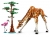 LEGO Creator 31150 Wild Safari Animals