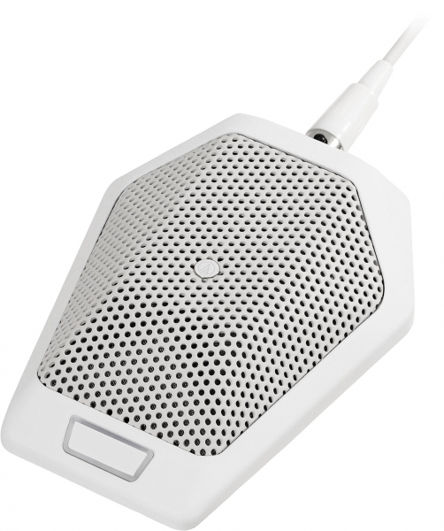 Audio-Technica U891RB Mikrofon