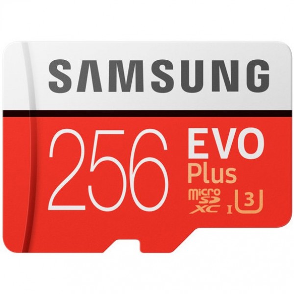 Samsung EVO Plus microSD (256 GB)