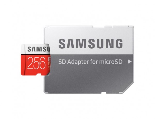 Samsung EVO Plus microSD (256 GB)