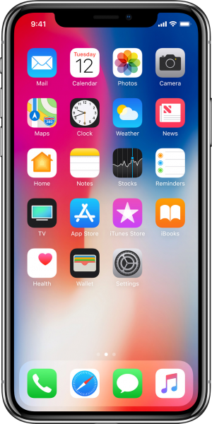 Apple iPhone X (256 GB)