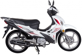 RMG Moto Gusto Scorpion Cub