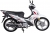 RMG Moto Gusto Scorpion Cub