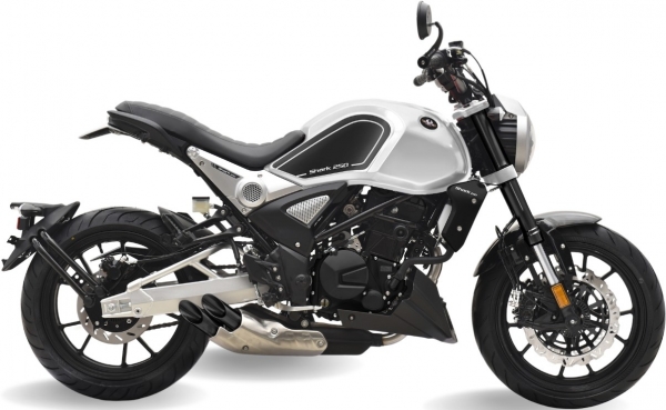 Regal Raptor Shark 250 Touring