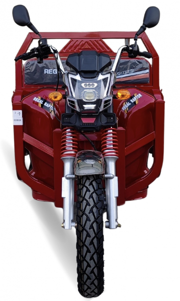 Regal Raptor RG24000 Moped