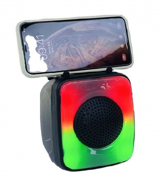 Polygold ZQS1342 Bluetooth Hoparlör
