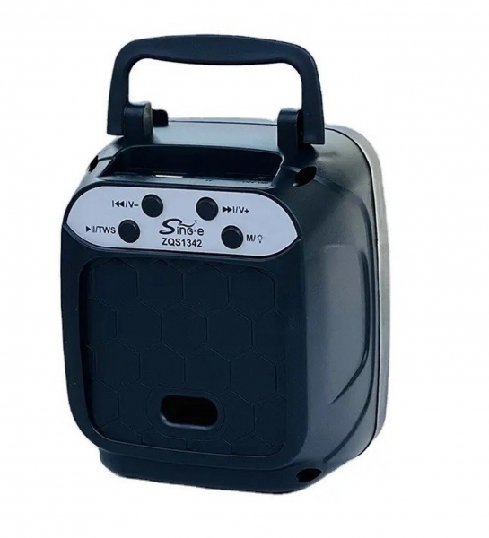 Polygold ZQS1342 Bluetooth Hoparlör