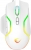 Rampage Miracle M2 Mouse