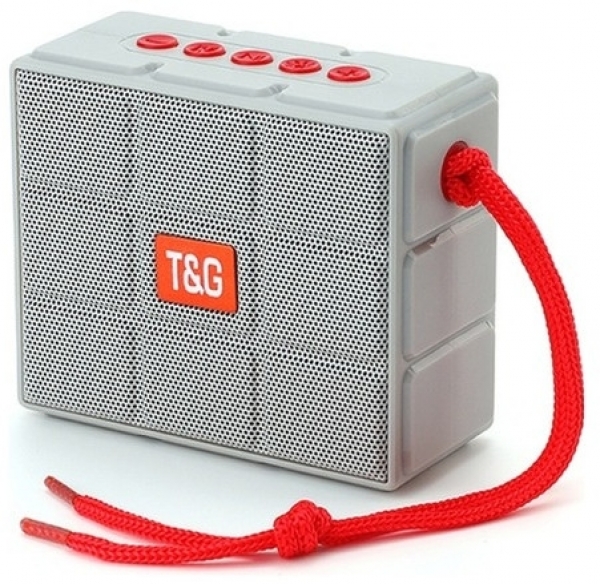 T&G TG311 Bluetooth Hoparlör