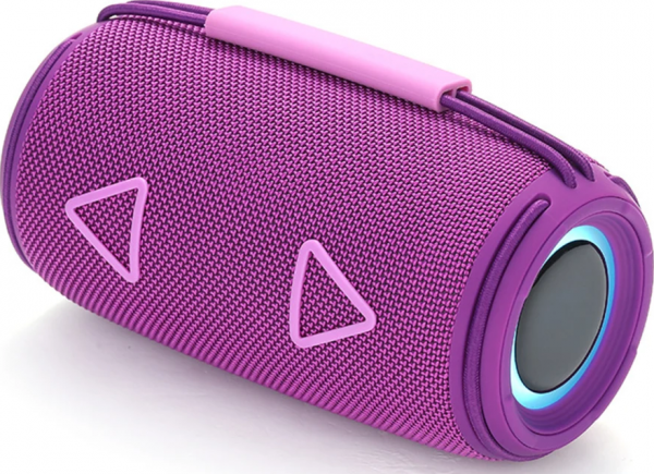 T&G TG657 Bluetooth Hoparlör
