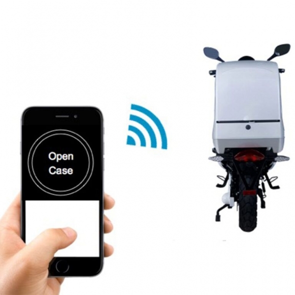 Quazzar QT2 Delivery Scooter