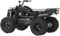 Loncin XWolf 300 resim