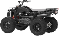 Loncin XWolf 300 resim