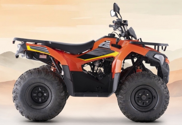 Loncin XWolf 250 ATV