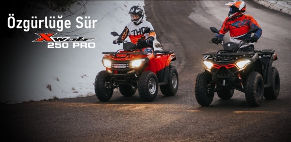 Loncin XWolf 250 Pro ATV