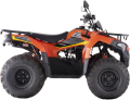 Loncin XWolf 250 Pro resim