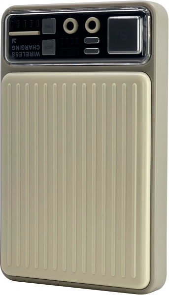 Nettech NT-PW26 10000 mAh Powerbank