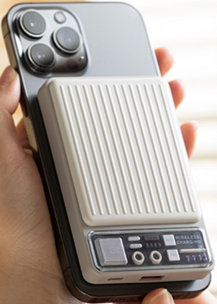 Nettech NT-PW26 10000 mAh Powerbank
