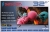 Sencrom MR-32 HD Ready (HD) TV