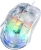 Aula S80 Mouse