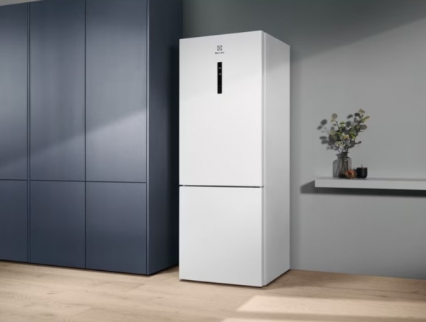 Electrolux LNT6ME46W3 Buzdolabı