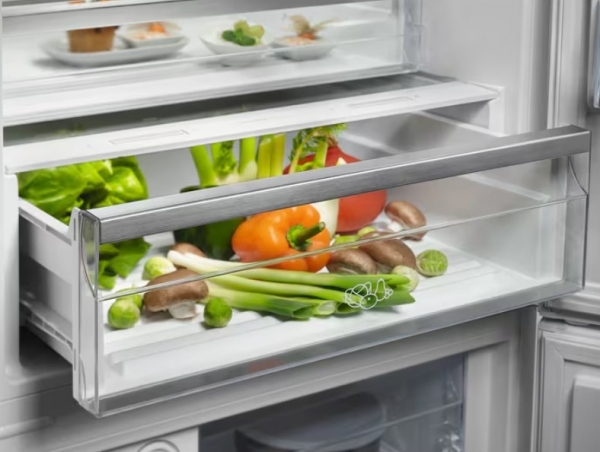 Electrolux LNT6ME46W3 Buzdolabı