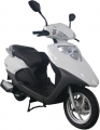 Musatti Siena 110 resim