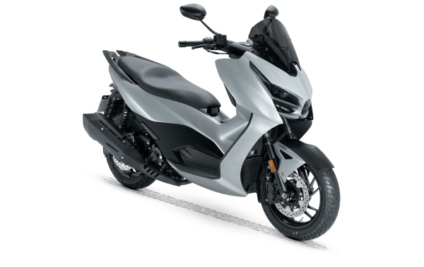 RKS RZ250S Scooter