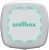 Wallbox Pulsar Plus 22kW