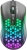 Aula S11 Mouse