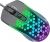 Aula S11 Mouse