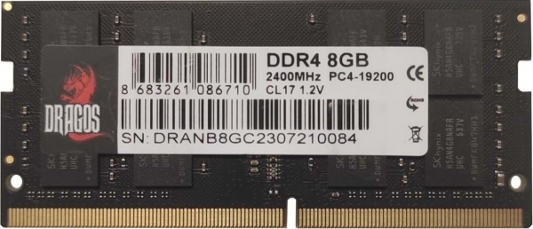 Dragos EdgeHorizon M 8 GB 2400 MT