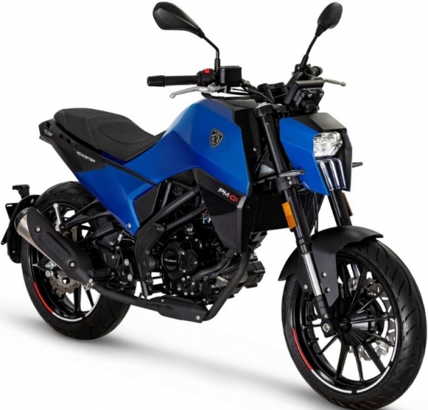 Peugeot PM-01 125CC Enduro
