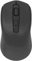 Raynox RX-M202 resim