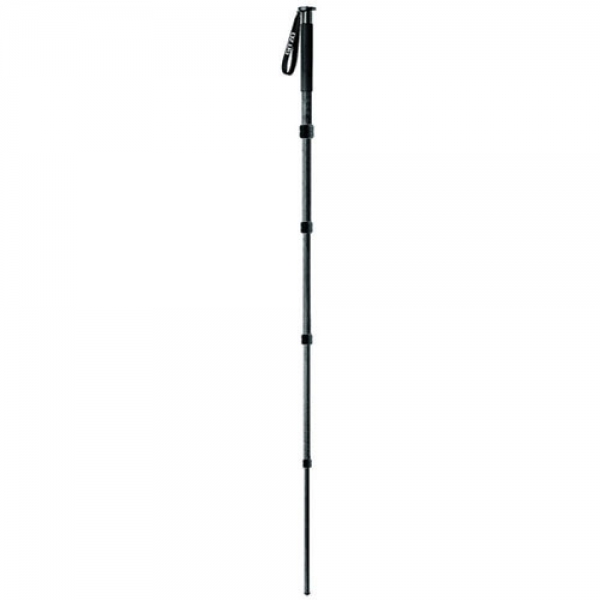 Gitzo GM3551 Monopod